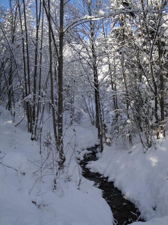 Chalet Tyrol Fugen Bagian luar foto